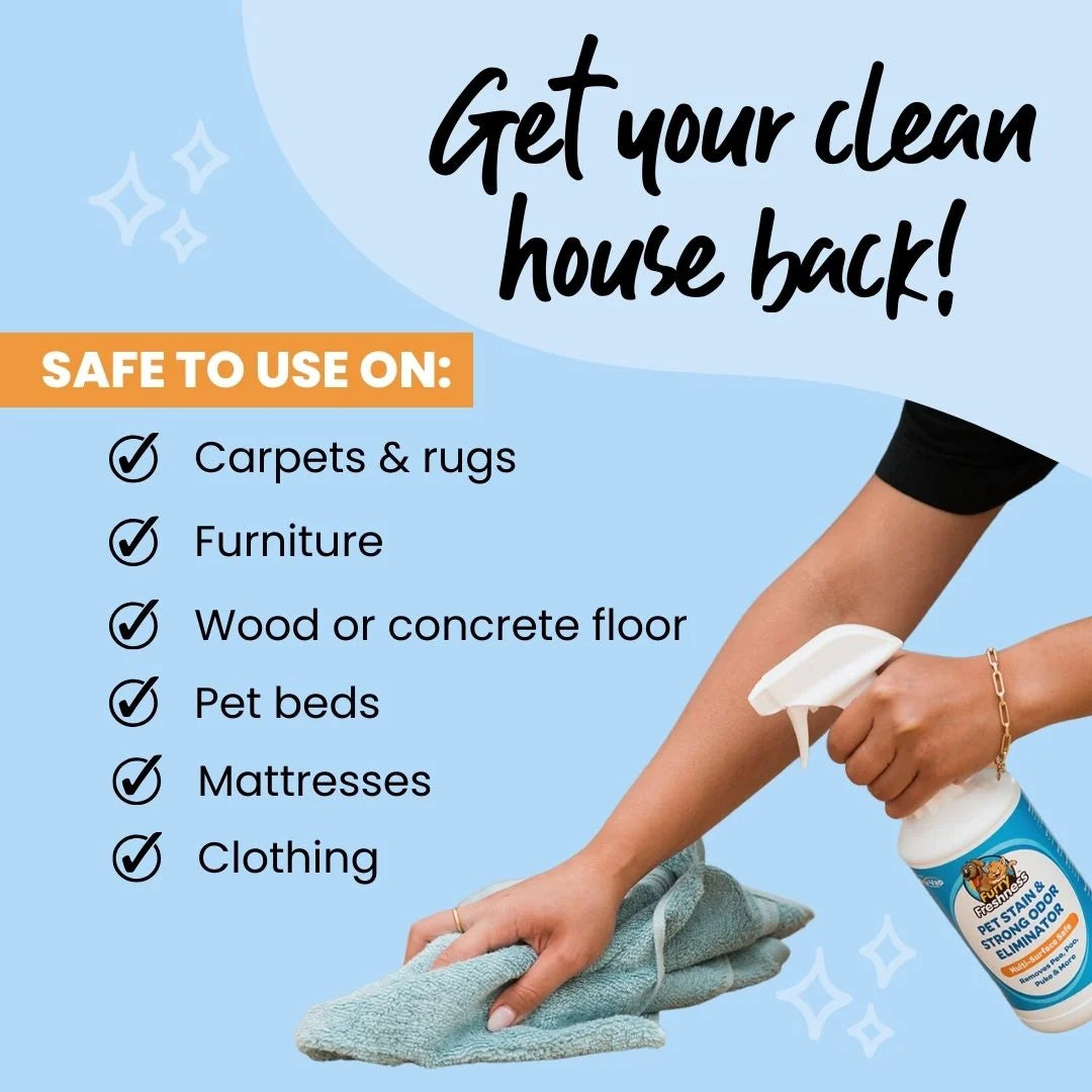 Stain & Odor Eliminator Spray Bottle Options
