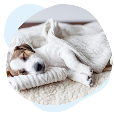 Netova™ sur les matelas