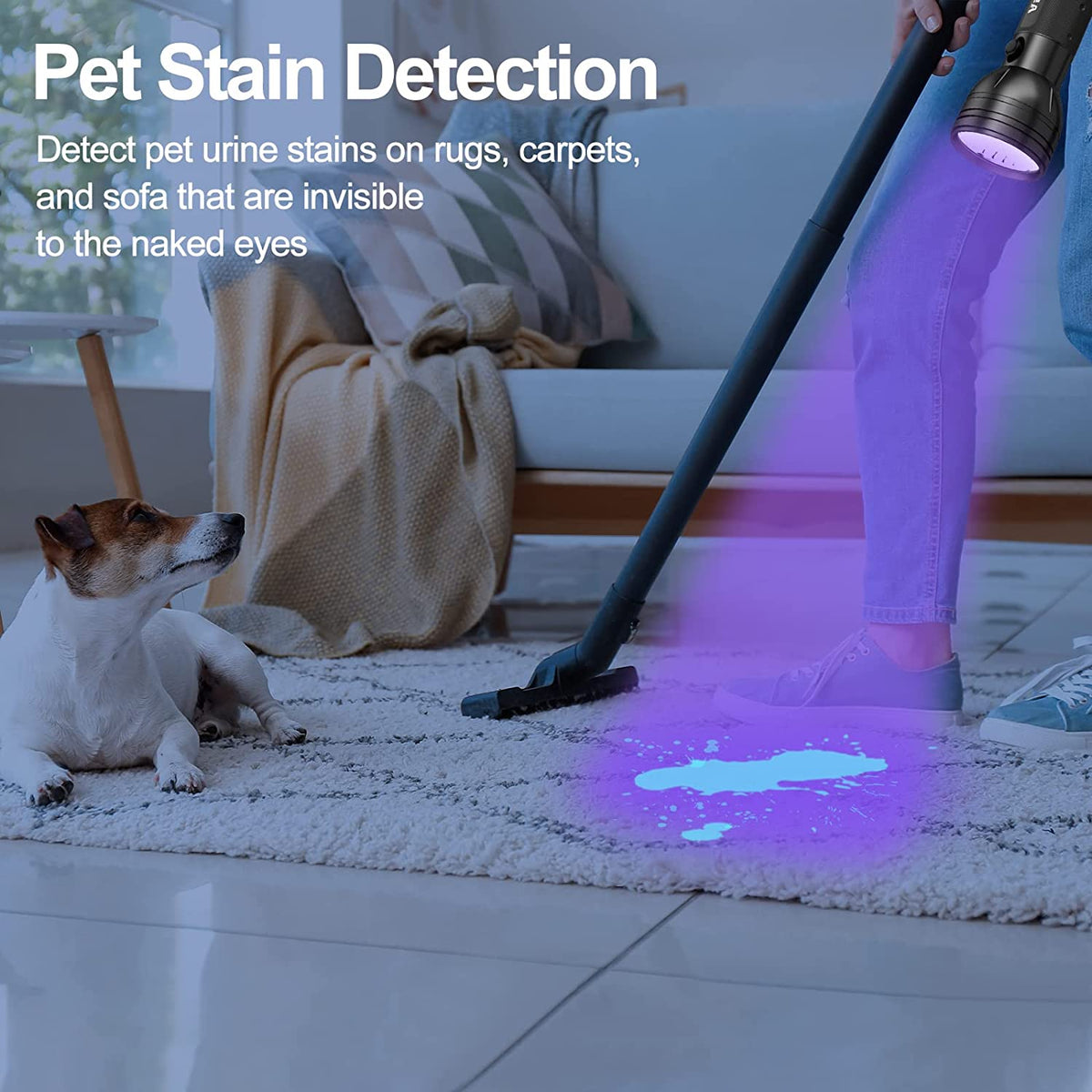 Hidden Urine Finding StainSpotter UV Light