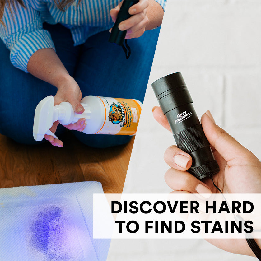 FurryFreshness StainSpotter Uncovers HIDDEN Urine in your Home! - FurryFreshness  Premium Stain and Smell Remover