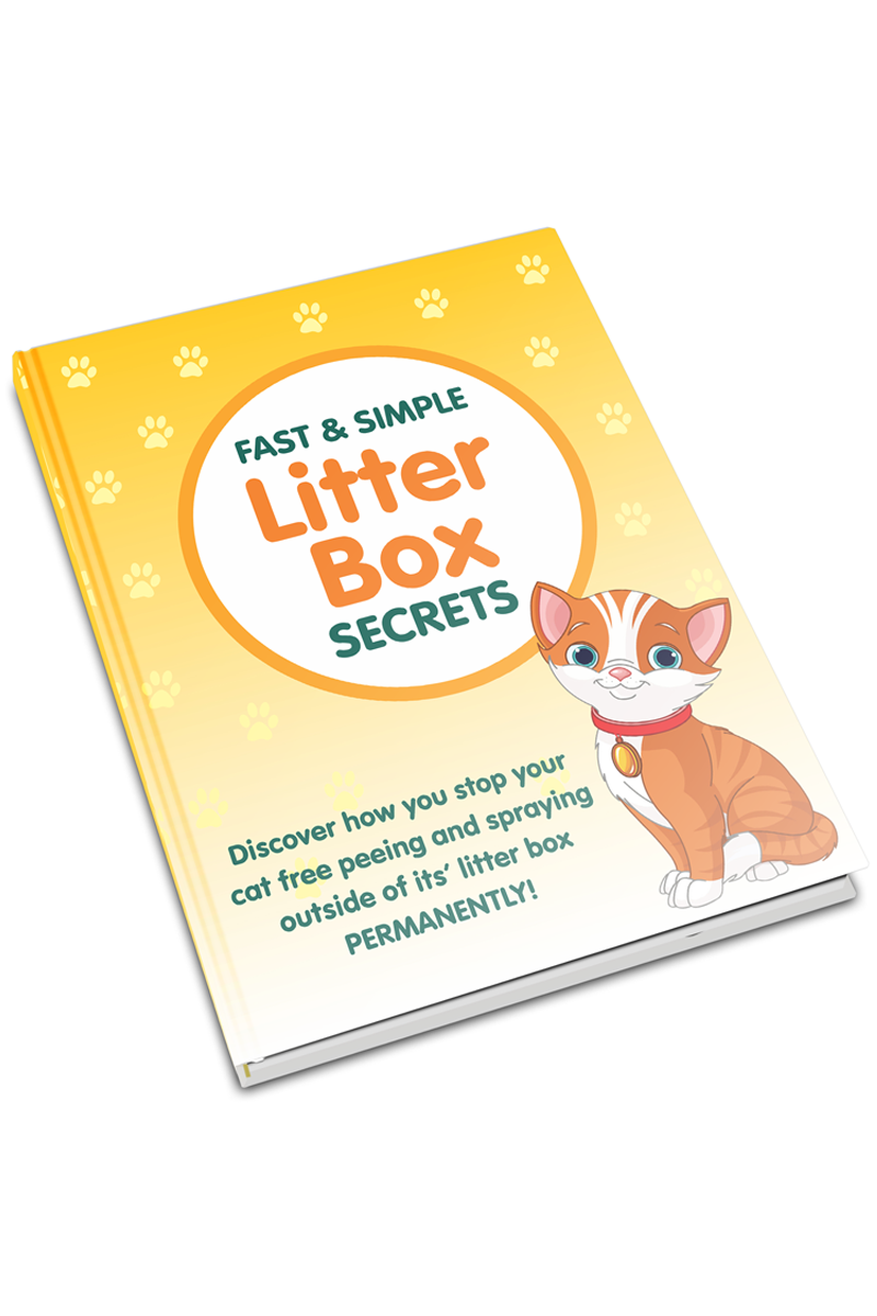 Fast & Simple Litter Box Training Secrets
